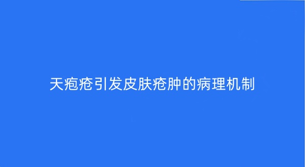 bb8964263a509b368ca13aade4b3637e_20250822094800844.jpg